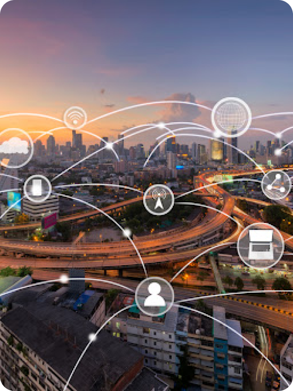 Transport policy development