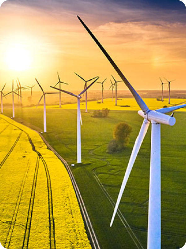 Environmental feasibility studies.